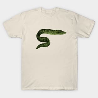 Eels Go Round and Round T-Shirt